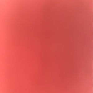 Meet your Posher, Donald